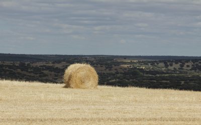 LLegó el verano a Salamanca